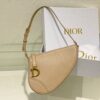 Dior Saddle Shoulder Pouch