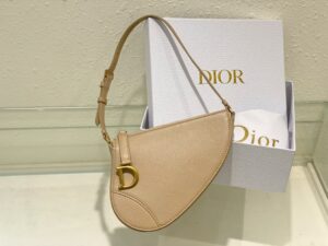 Dior Saddle Shoulder Pouch