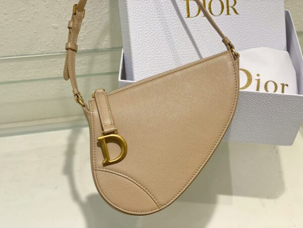 Dior Saddle Shoulder Pouch