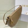 Dior Saddle Shoulder Pouch