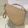 Dior Saddle Shoulder Pouch