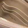 Dior Saddle Shoulder Pouch