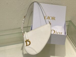 Dior Saddle Shoulder Pouch