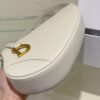 Dior Saddle Shoulder Pouch