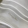 Dior Saddle Shoulder Pouch