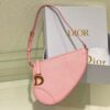 Dior Saddle Shoulder Pouch