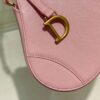 Dior Saddle Shoulder Pouch