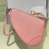 Dior Saddle Shoulder Pouch