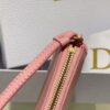 Dior Saddle Shoulder Pouch
