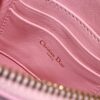 Dior Saddle Shoulder Pouch