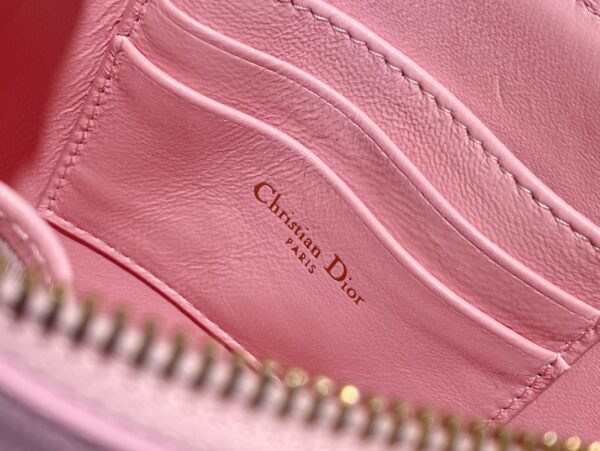 Dior Saddle Shoulder Pouch