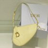 Dior Saddle Shoulder Pouch