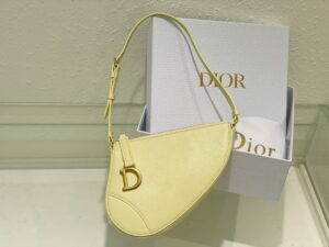 Dior Saddle Shoulder Pouch