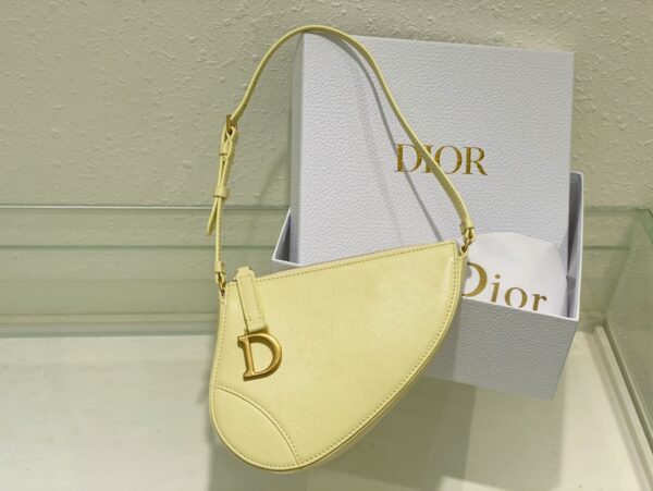 Dior Saddle Shoulder Pouch
