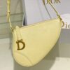 Dior Saddle Shoulder Pouch