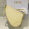 Dior Saddle Shoulder Pouch