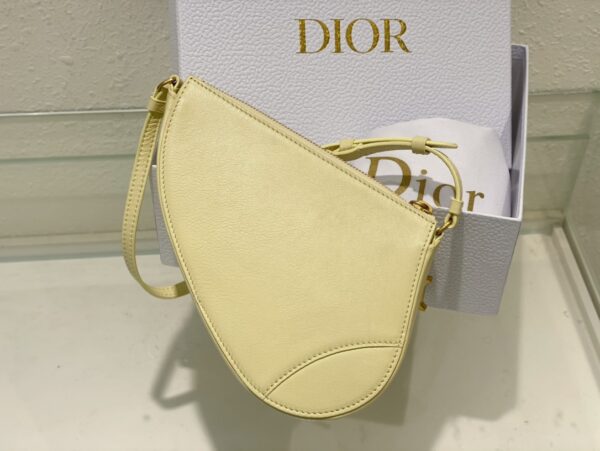 Dior Saddle Shoulder Pouch