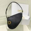 Dior Saddle Shoulder Pouch