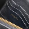 Dior Saddle Shoulder Pouch
