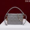 Lady Dior Milly Mini Bag Cannage