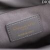 Lady Dior Milly Mini Bag Cannage