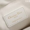Lady Dior Milly Mini Bag Cannage