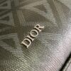 Dior Safari Tote Bag