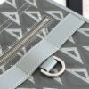 Dior Safari Tote Bag
