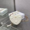 Dior Caro Heart Pouch With Chain