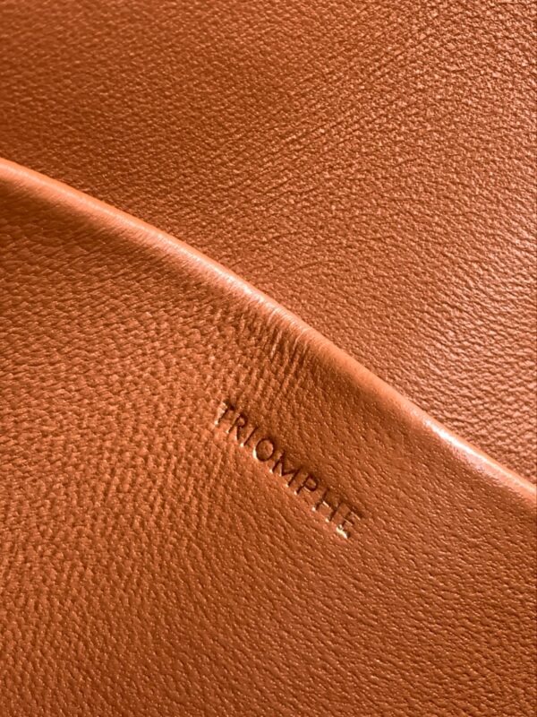 CELINE TEEN TRIOMPHE BAG