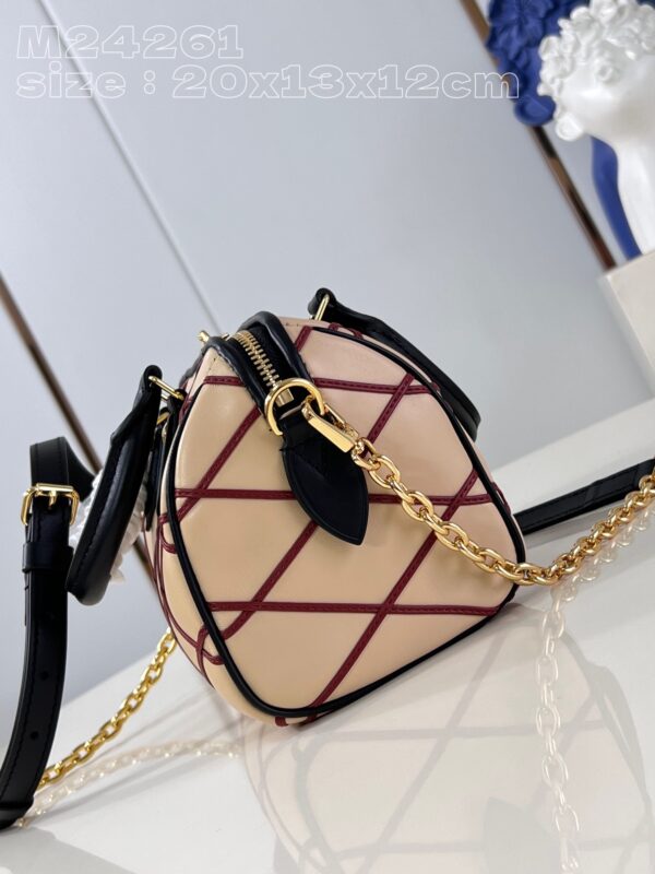 Louis Vuitton Speedy Bandoulière 20