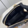 Louis Vuitton Nano Alma