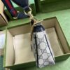 Gucci Ophidia GG small handbag