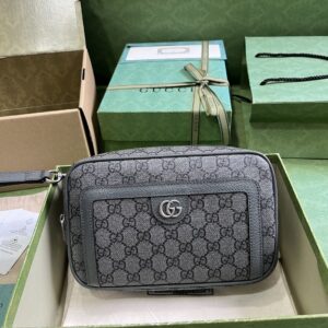 Gucci Ophidia GG pouch