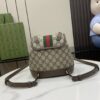 wsxc1713558390476_2.jpg Gucci OPHIDIA MINI BACKPACK