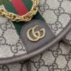 wsxc1713558390476_4.jpg Gucci OPHIDIA MINI BACKPACK