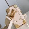 Louis Vuitton Side Trunk PM