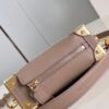Louis Vuitton Side Trunk PM