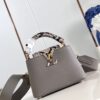 Louis Vuitton Capucines mini bag