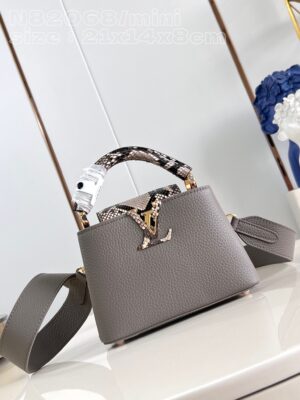 Louis Vuitton Capucines mini bag