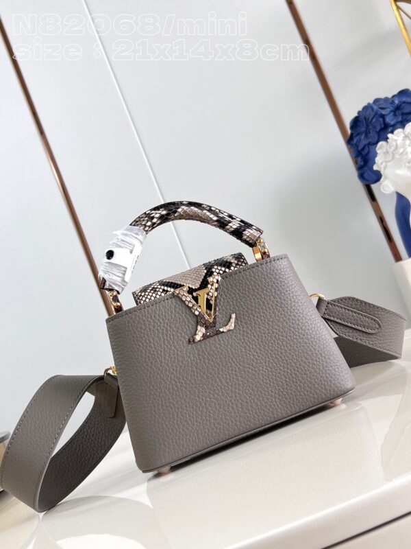 Louis Vuitton Capucines mini bag