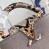 Louis Vuitton Capucines mini bag
