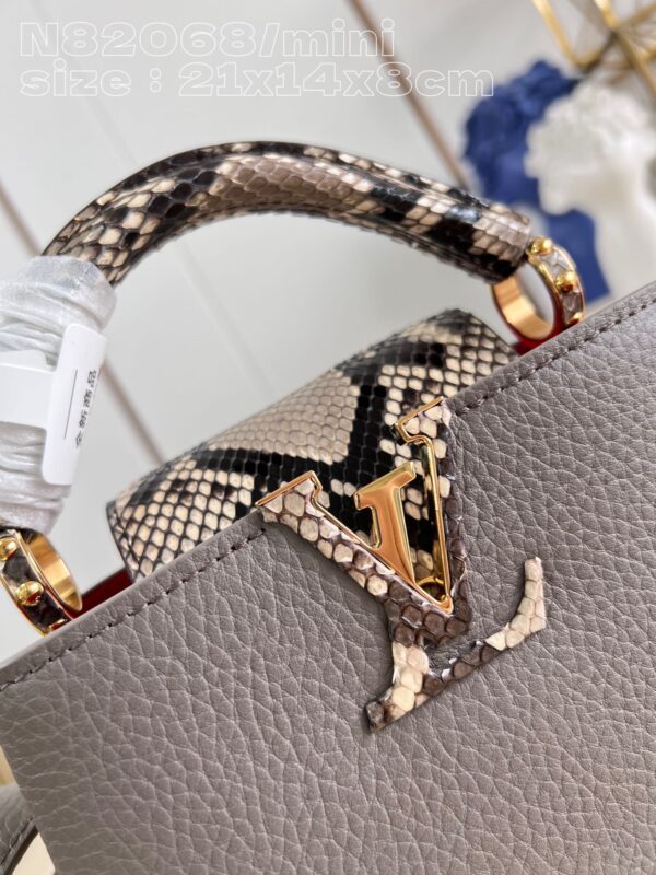 Louis Vuitton Capucines mini bag