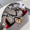 Louis Vuitton Capucines mini bag