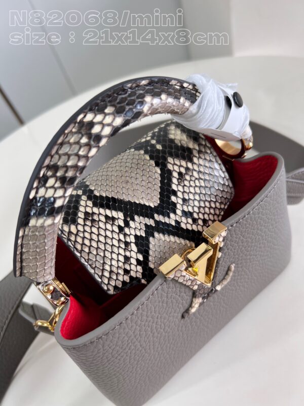 Louis Vuitton Capucines mini bag