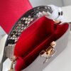 Louis Vuitton Capucines mini bag