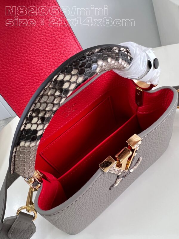 Louis Vuitton Capucines mini bag
