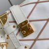 Louis Vuitton Side Trunk PM