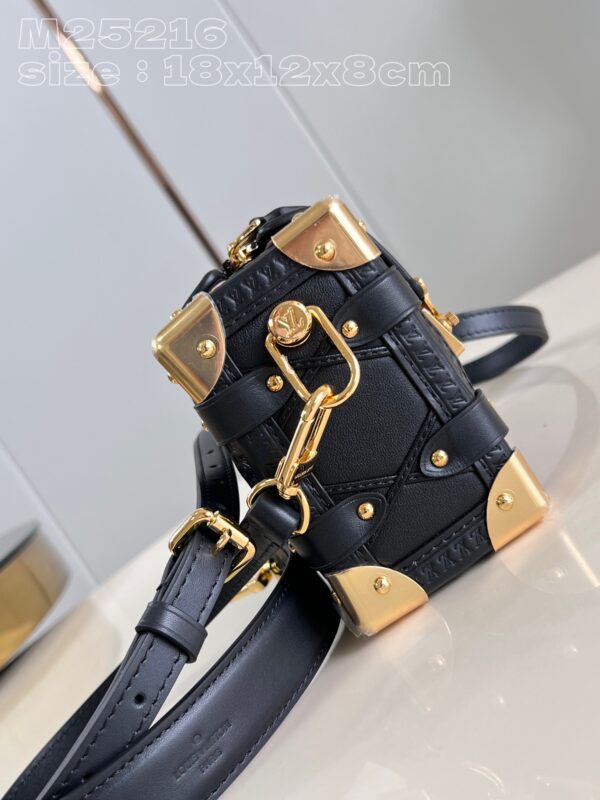 Louis Vuitton Side Trunk PM