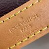 Louis Vuitton Nano Alma Bag